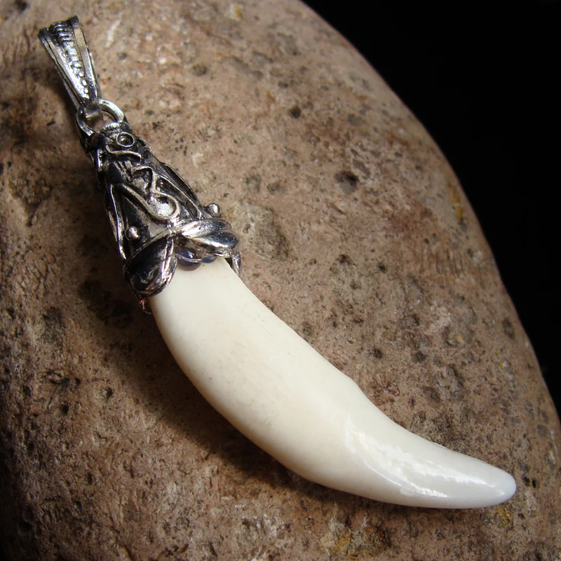 

Wholesale 10 Pcs Tibetan Silver Men's Tribal Jewelry White Natural Wolf Teeth Pendants Beads 09044