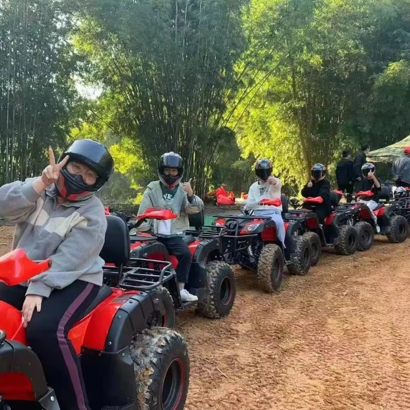 Outdoor Adventure Quad Biking - Racing Adult Dune Buggy Customized Four