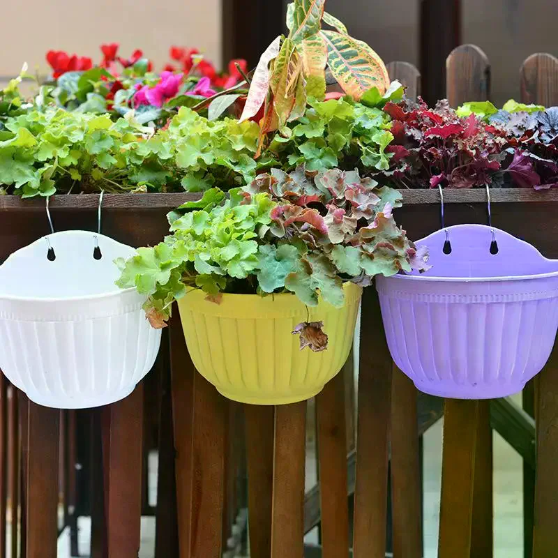 Colorful Semicircular Wall Mount Flower Pot Hanging DIY Plant Rack Non-Toxic for  Herb Home Garden Decor