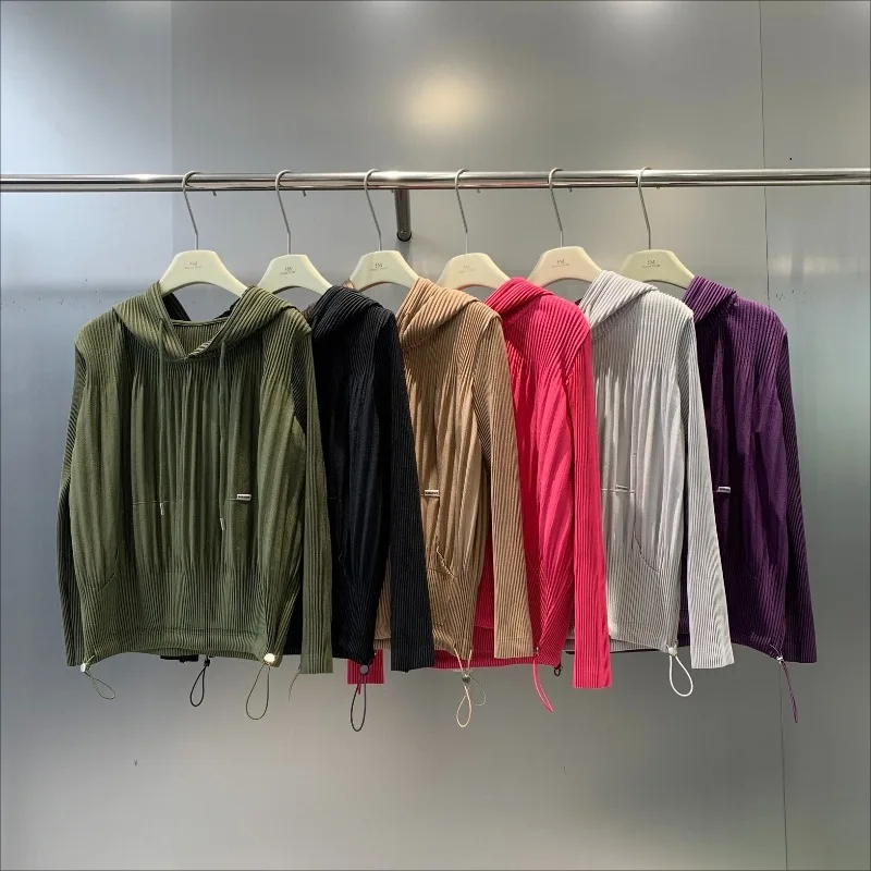 

Miyake Pleated Women's Tops Fall Winter New Long-sleeved Hoodie Simple Loose Casual Stretchy Sports Sweater Clothing Clothing