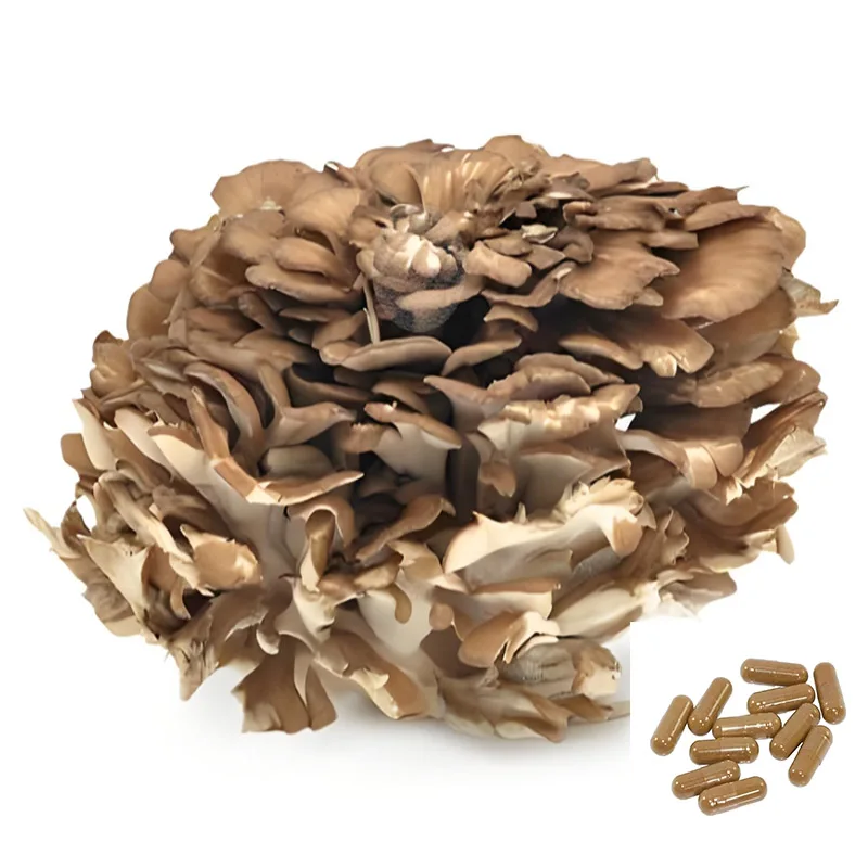 

Organic Maitake Mushroom Extract Grifola frondosa Capsule