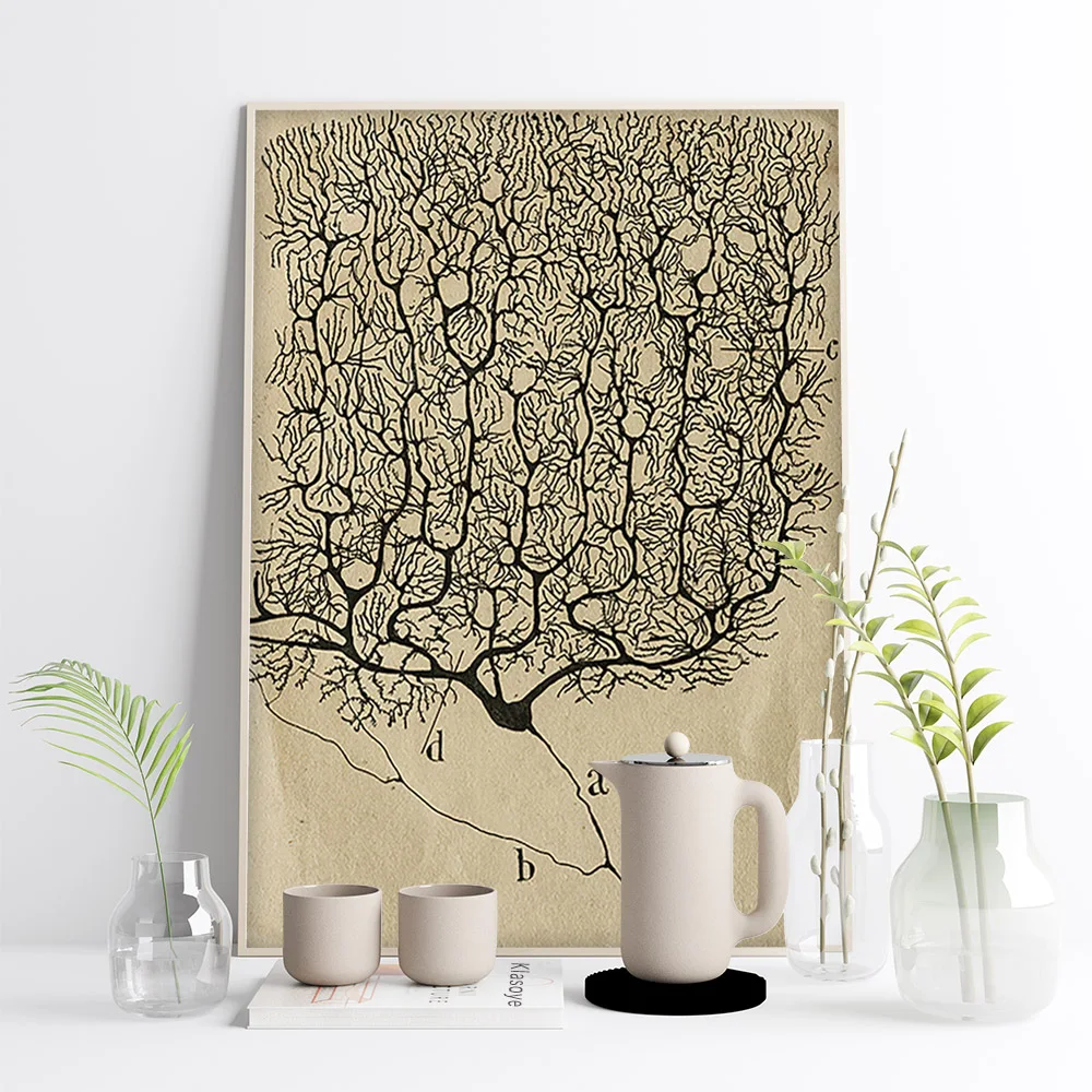 Santiago Ramon Y Cajal Vintage Poster Neuron Drawing Wall Art Print Picture Brain Anatomy Biology Canvas Painting Antique Decor