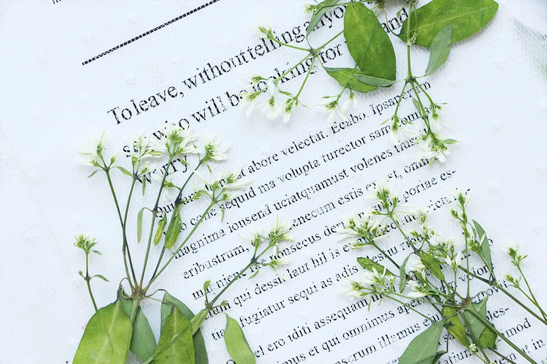 6–9 cm/12 Stück, natürliche gepresste Blumen-Mini-Zweige, echte Blume, DIY-Geschenkkarten, Lesezeichen, Tropfenkleber, Schmuckzubehör, Duftkerze – Detail 8