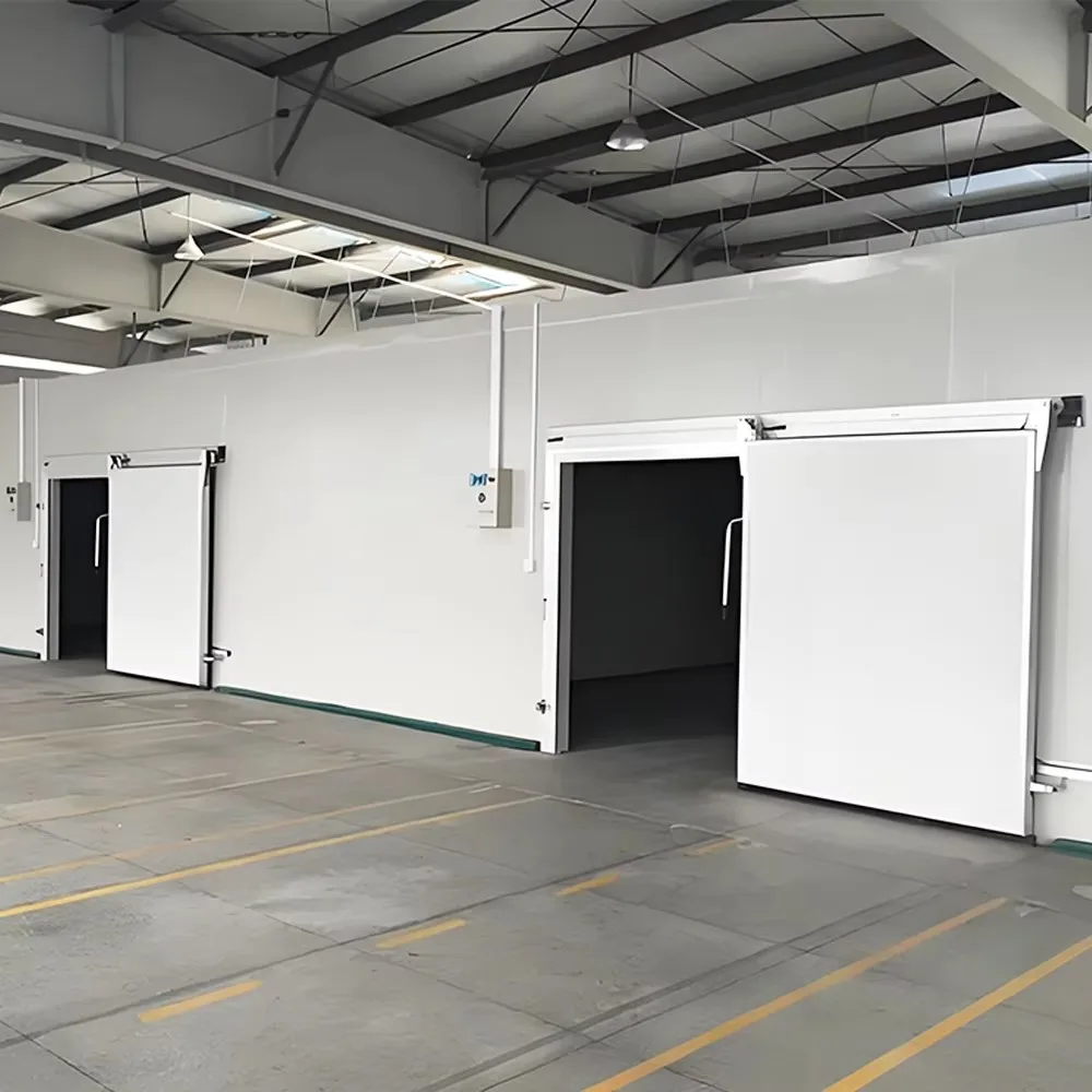 Industrial cold storage for meat, fish, and vegetables, freezer compartments, and large-scale custom cold storage projects