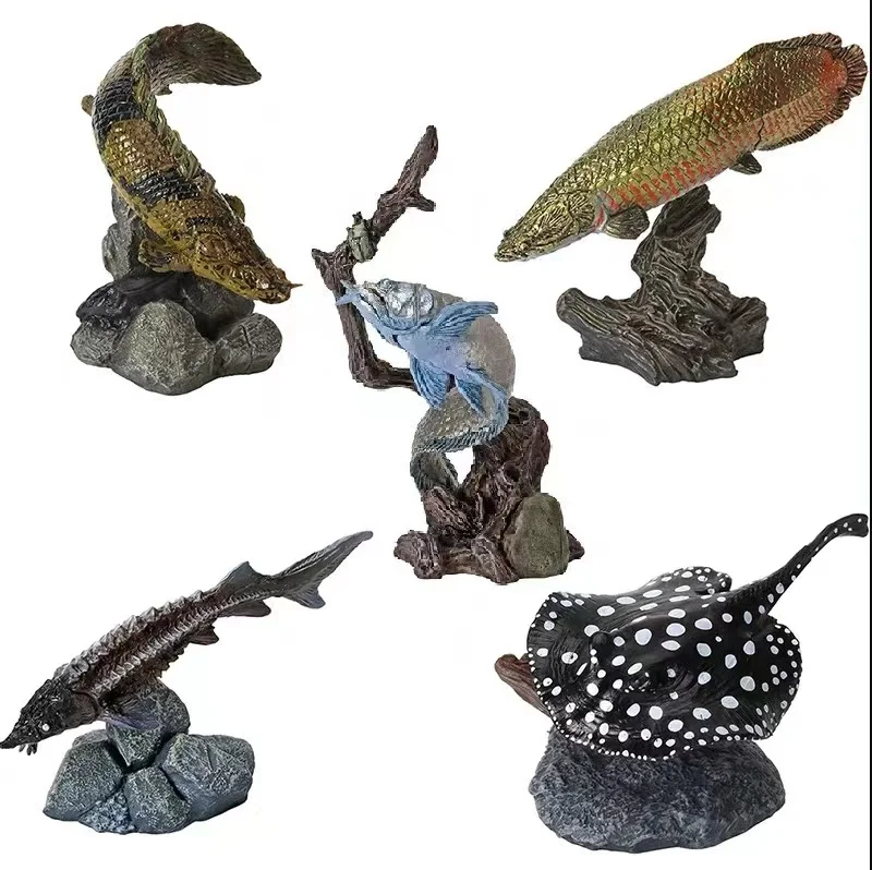 

Gacha Scale Model Biological Simulation Cognitive Model Ancient Fish Marine Creatures Action Figure Toys