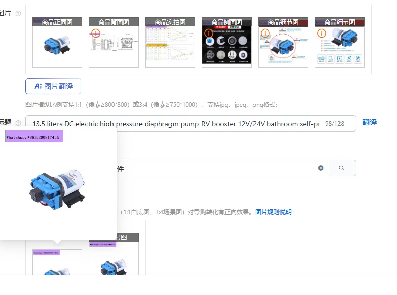 

13.5 liters DC electric high pressure diaphragm pump RV booster 12V/24V bathroom self-priming pump