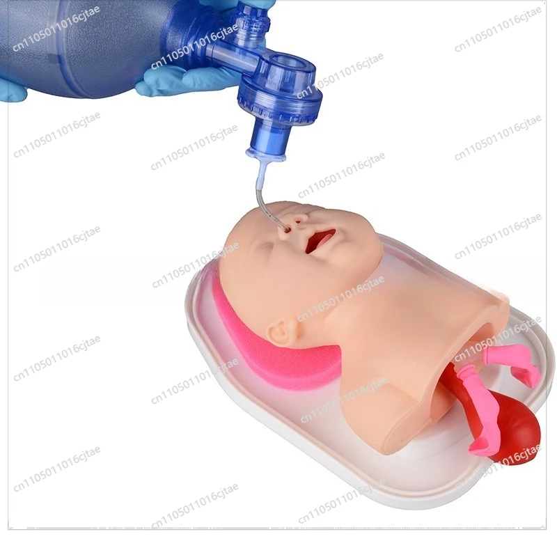 For Infant Endotracheal Intubation Model, Newborn Infant Endotracheal Intubation Model, Newborn Infant Intubation Training Model
