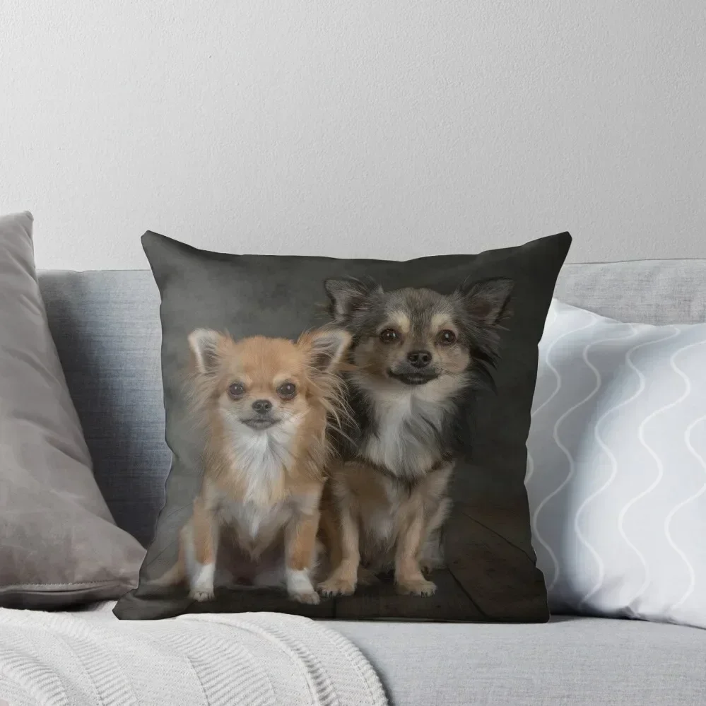 

Buddies Throw Pillow Cushion Cover For Sofa Luxury Pillow Case Cushions Cover Room decorating items pillow