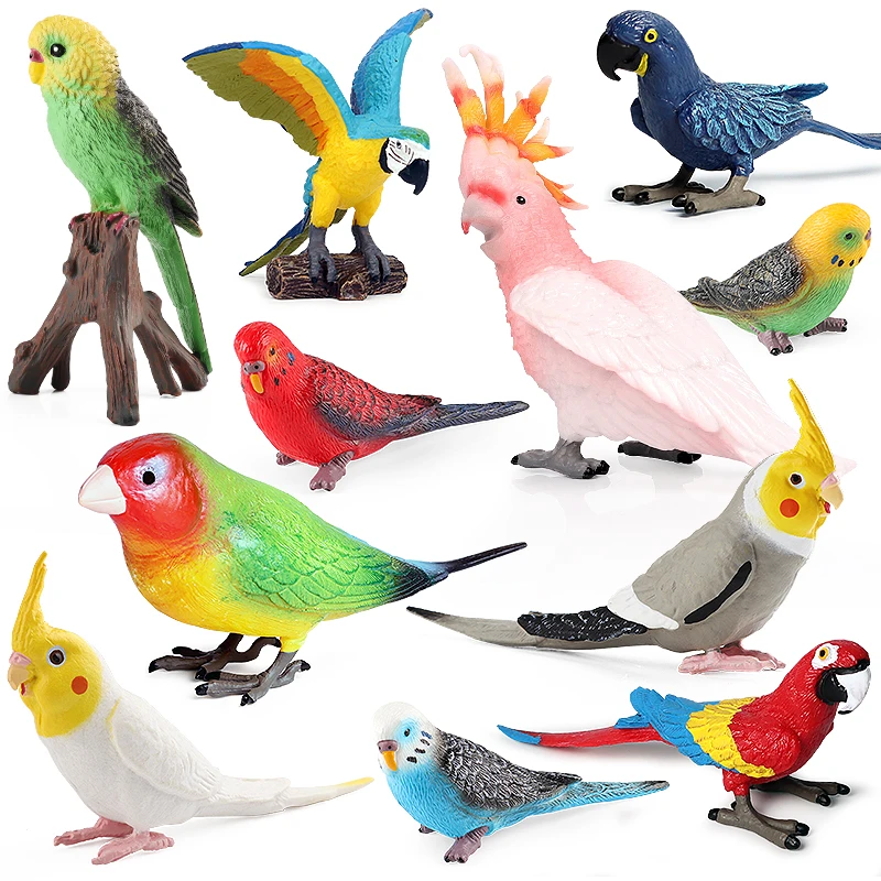 Oenux Bird Animal Parrot Macaw Cockatiel Cockatoo Agapornis Model Solid PVC Action Figures Garden Decoration Education Kids Toy