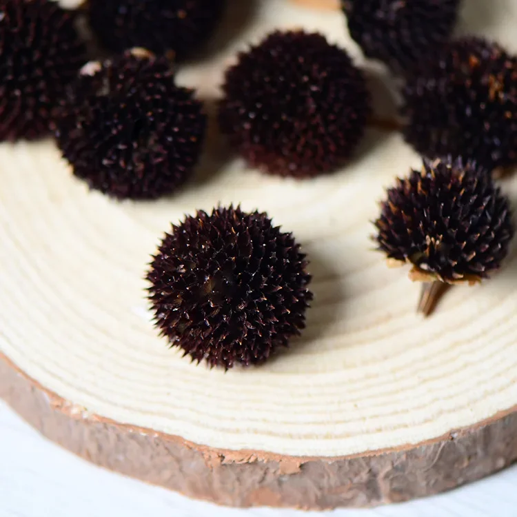 50pcs,Natural Dried Rudbeckia hybrida flower head for wedding Party home Decoration Accessories,eternal rose DIY gift box decor