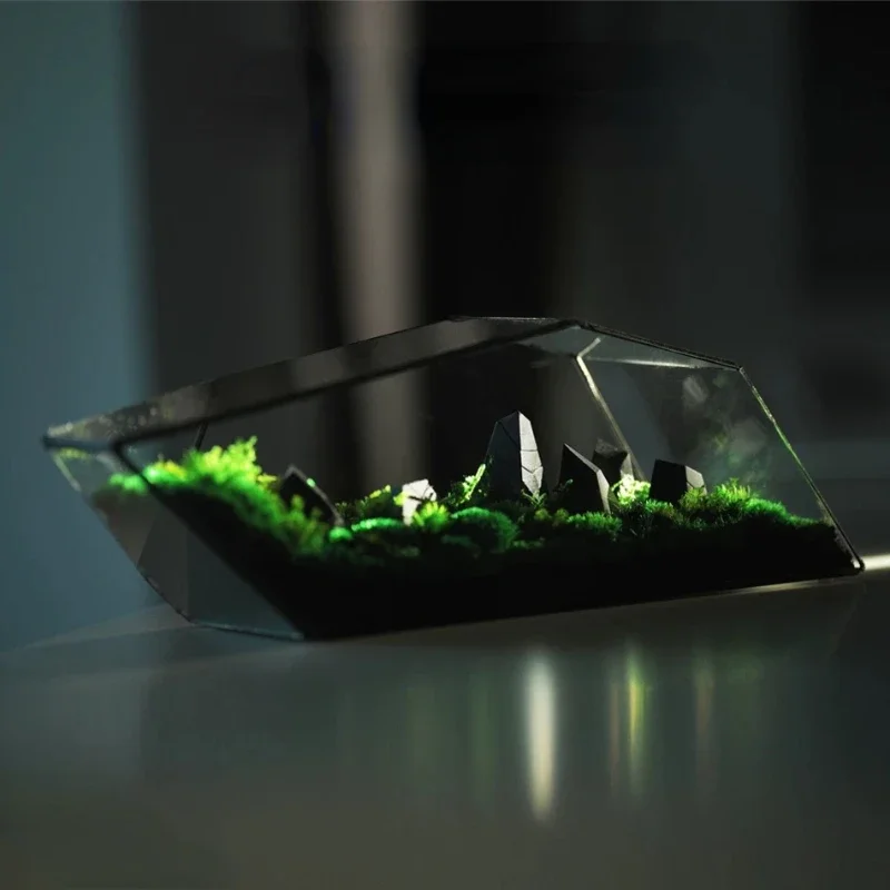 Micro Landscape Planter Moss Rainforest Tank Geometric Glass Flower Room Irregular Ecological Vase Succulent Water Plant Vase