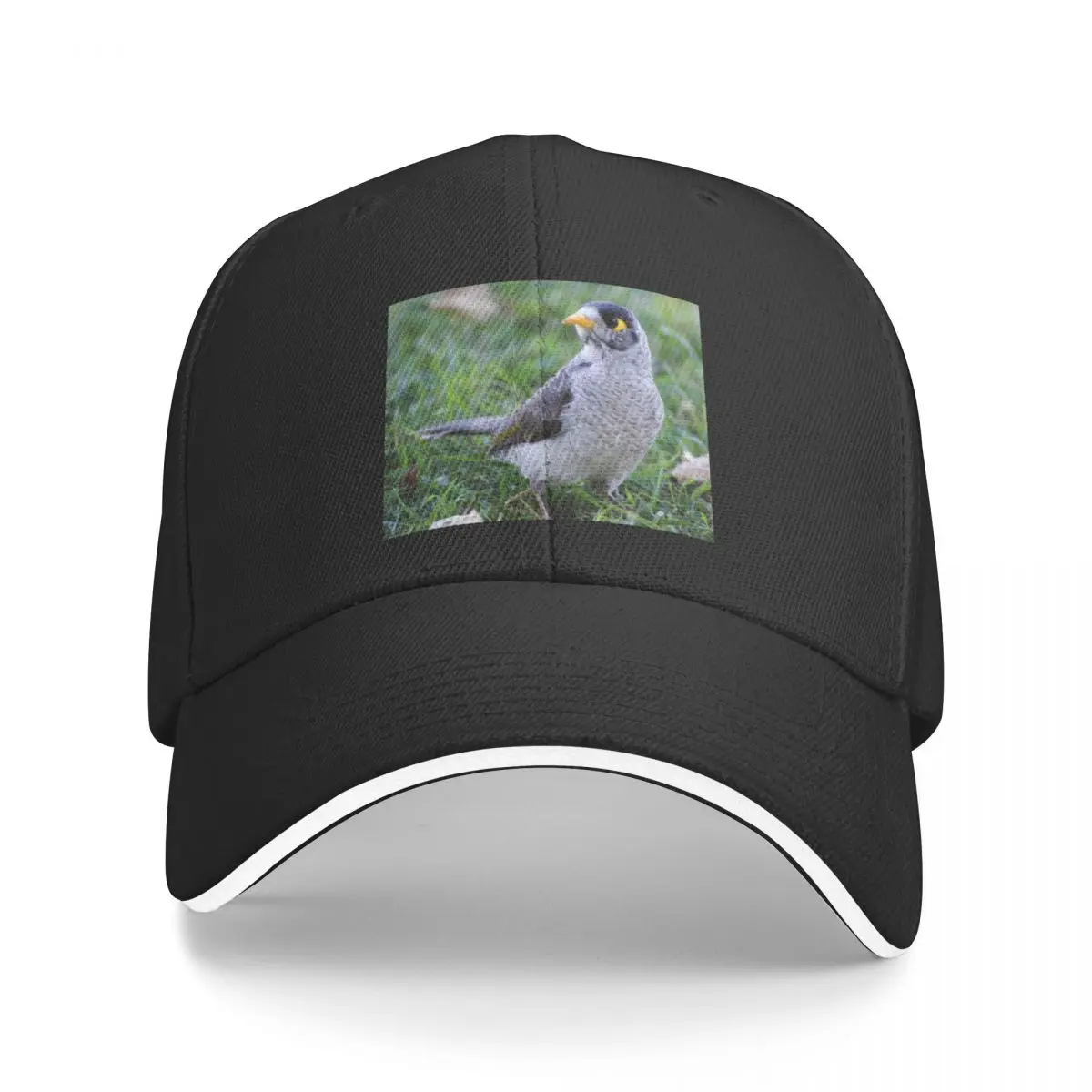 

Noisy Miner Baseball Cap Dropshipping sun hat Kids Hat For Man Women's