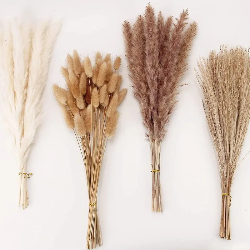 

100pcs Pampas Grass Fluffy Phragmites Room Home Decor Natural Dried Flowers Bunny Tail Grass Reed Bouquet for Wedding Decoration