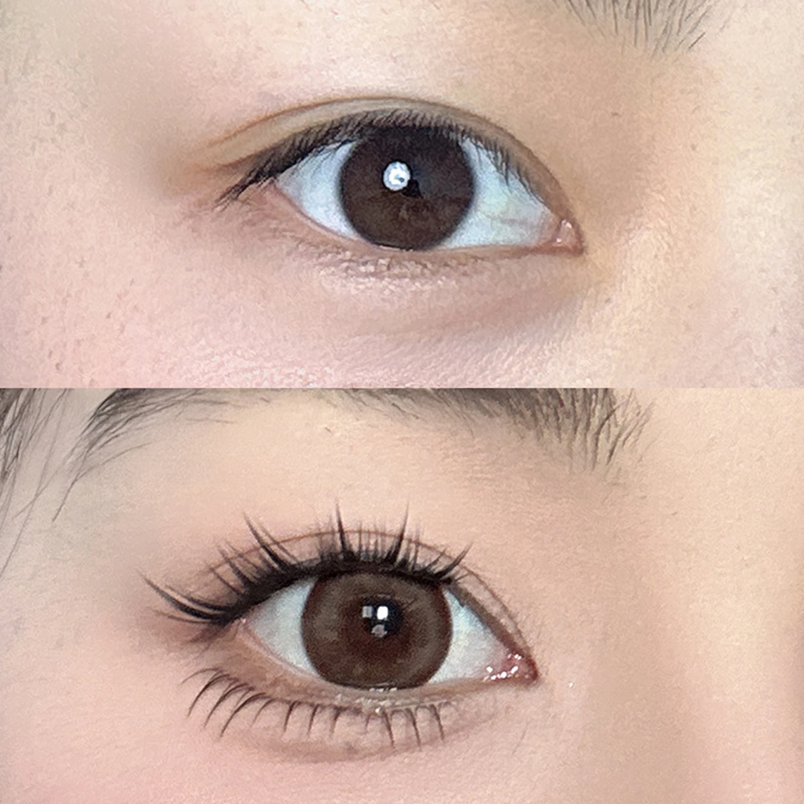 10 행 개별 가짜 속눈썹 자연 부드러운 클러스터 속눈썹 재사용 가능한 가짜 속눈썹 확장 메이크업 도구 여성용