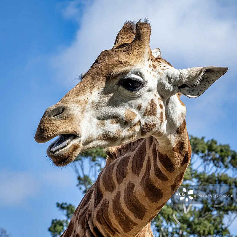 

Радиопередатчик Skydroid S1 PRO с FPV-трансляцией видео 5.8G 1080p и LED-камерой, для дронов, автомобилей, лодок, дистанционного управления