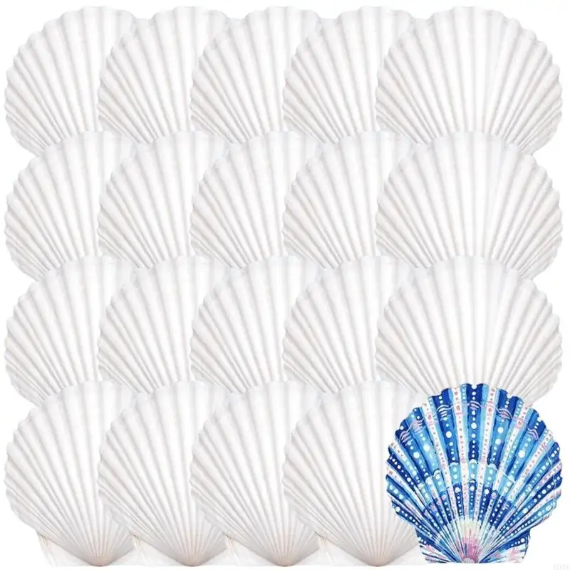 20 Stück natürliche weiße Muscheln, bemalbare natürliche Muscheln zum Handmalen und Kuchenbacken, Dekoration, Schule, B03E – Detail 2