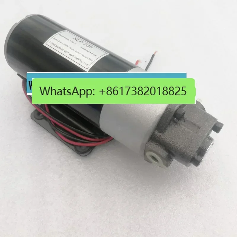 DC 12V/24V AC 220V Small DC Gear Oil Pump Refueling Machine