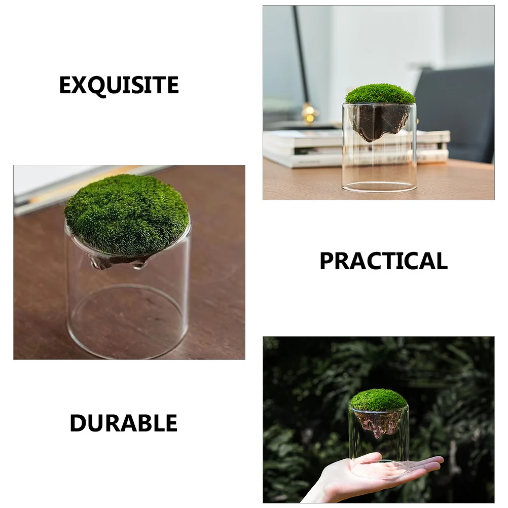 

2Pcs Moss Bottle Micro Landscape Glass Bottle Mini Ornament Decorative for Home Office Study DIY Landscape Container