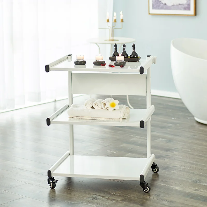 

Beauty Salon Tool Cart Metal Double Layer Cart Storage Movable Storage Rack