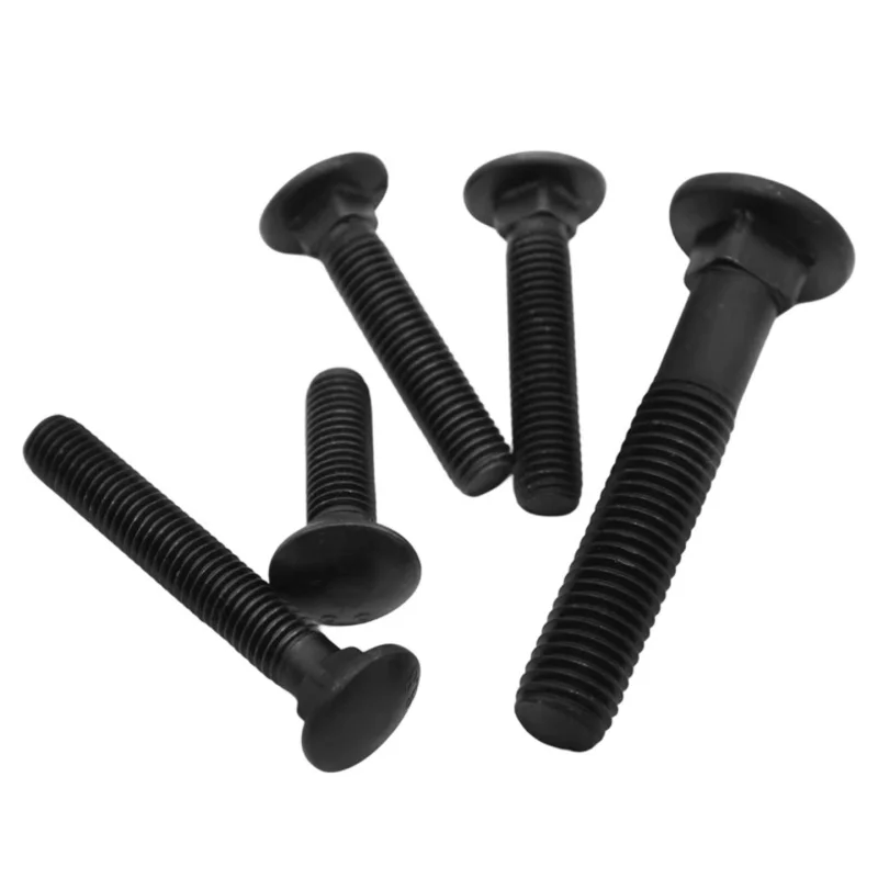 أسود 304 الفولاذ المقاوم للصدأ النقل البراغي كبيرة مستديرة رئيس ساحة الرقبة البراغي لرفوف M3 M4 M5 M6 M8 M10 M12 مدرب الترباس