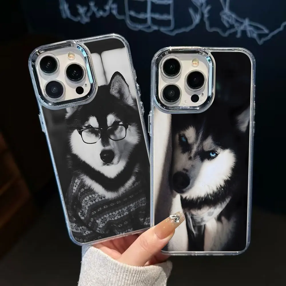 Animal Husky Cute P…