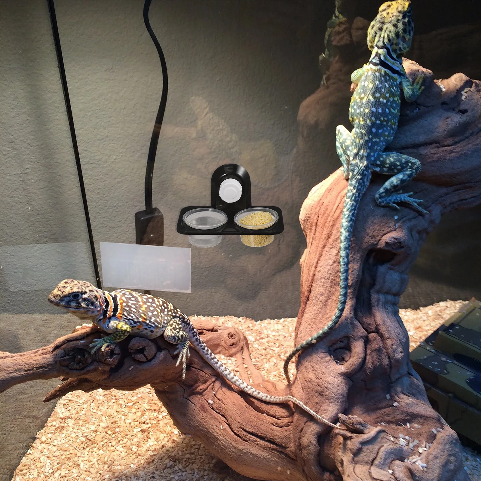 

Pet Bowls for Reptiles Food and Water Container Lizard Gecko Leopard Chameleon Feeding Table Reptile Feeder Bowl Basin