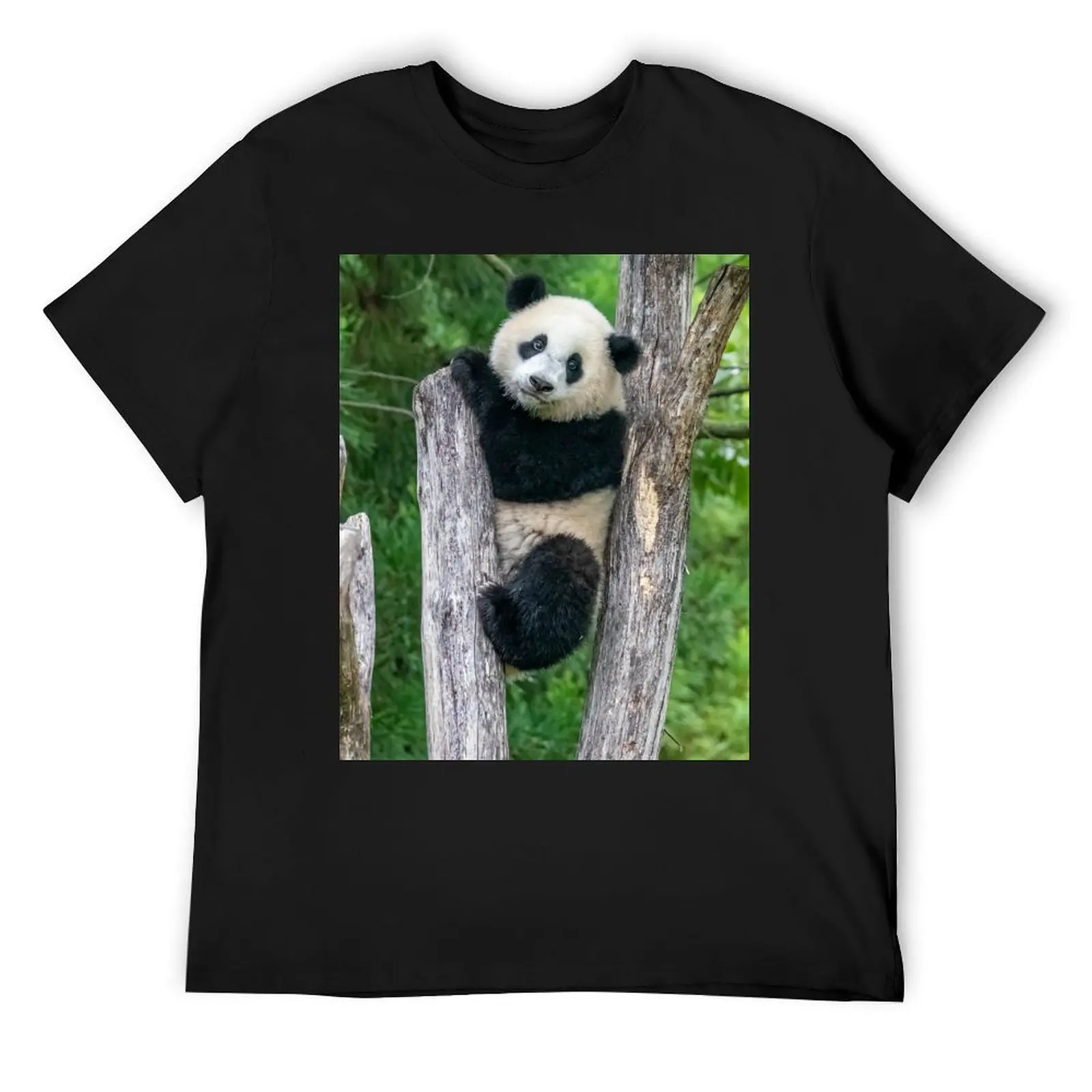 Giant Panda Xiao Qi Ji at the Smithsonian's National Zoo T-Shirt kawaii clothes summer tops mens graphic t-shirts funny