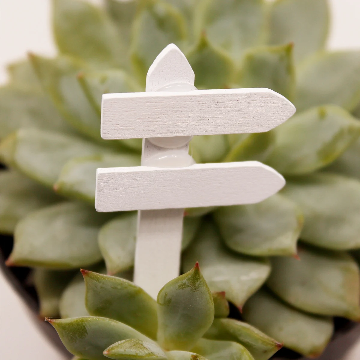 

50pcs Succulent Plant Tags Wood Garden Label Tag Marker White Durable Light Weight For Christmas Wedding Crafts Signage