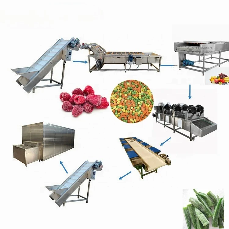 Fruits Vegetables Frozen Fish Meat Quick Cooling Machine Iqf Tunnel r  Equipment Processing Line