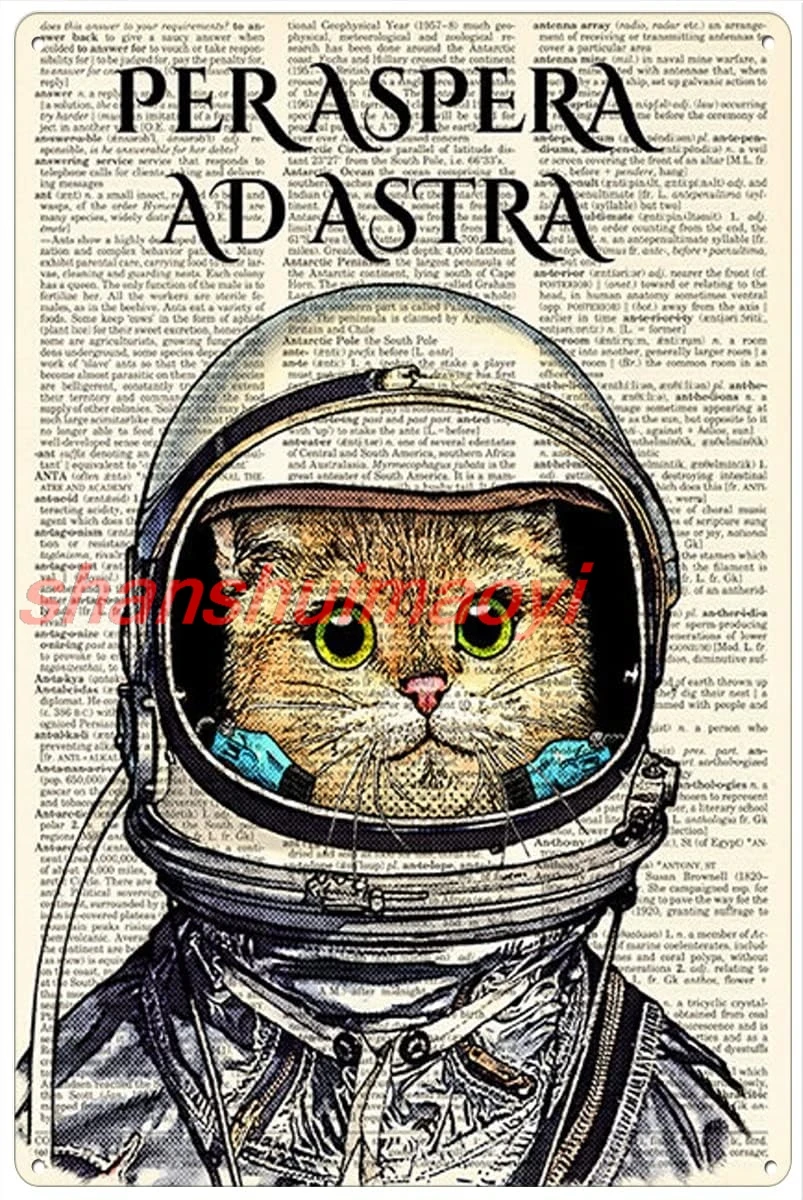 Retro Metal Tin Sign 8 X 12 Inches Per Aspera Ad Astra Cat Spaceman Poster Motivational Wall Decor Home Decoration Art  shanshui