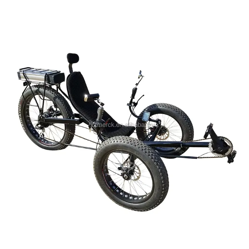 3 Wheel Adults Outdoor Sports Foldable Fat Tyre Recumbent Trike Electric Pedal Assist Drift Tricycle