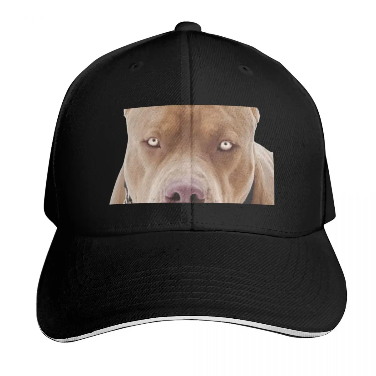 Gorra de béisbol Dog Pit Bull Red Norse, gorra deportiva, sombrero para senderismo en la playa, sombreros divertidos para niños y mujeres