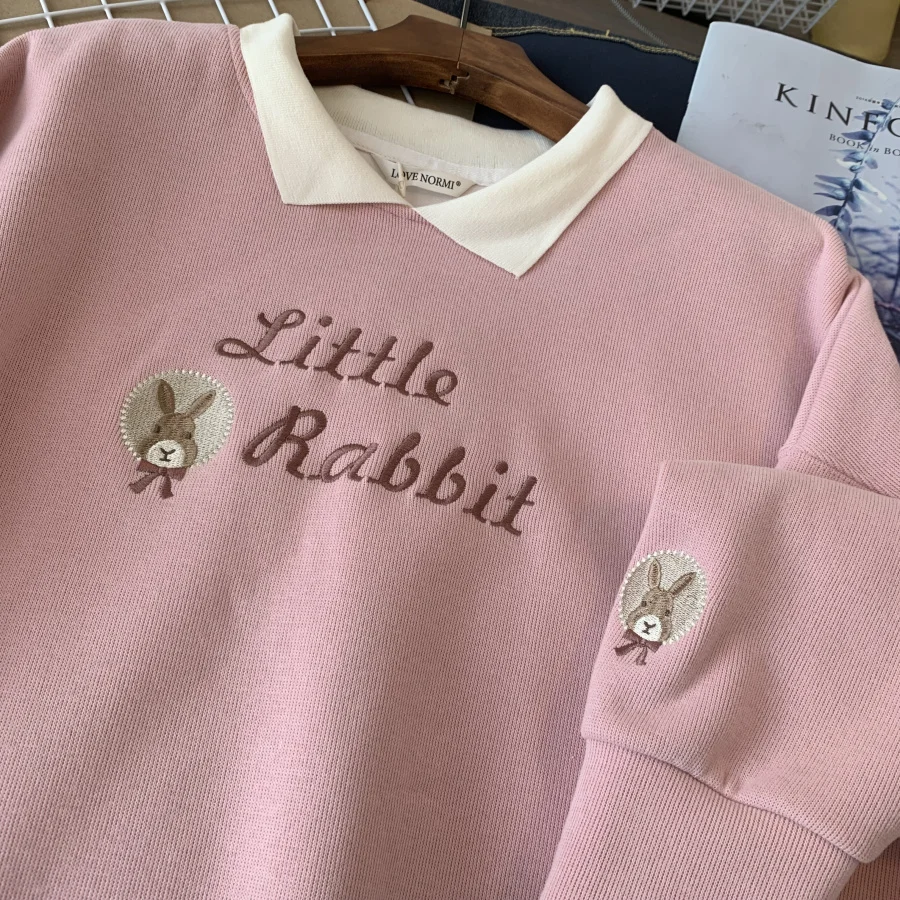Spring Autumn 2026 New Style Embroidered  Collar Loose Women's Sweatshirt Thin Outerwear Trendy Korean Style Long Sleeve