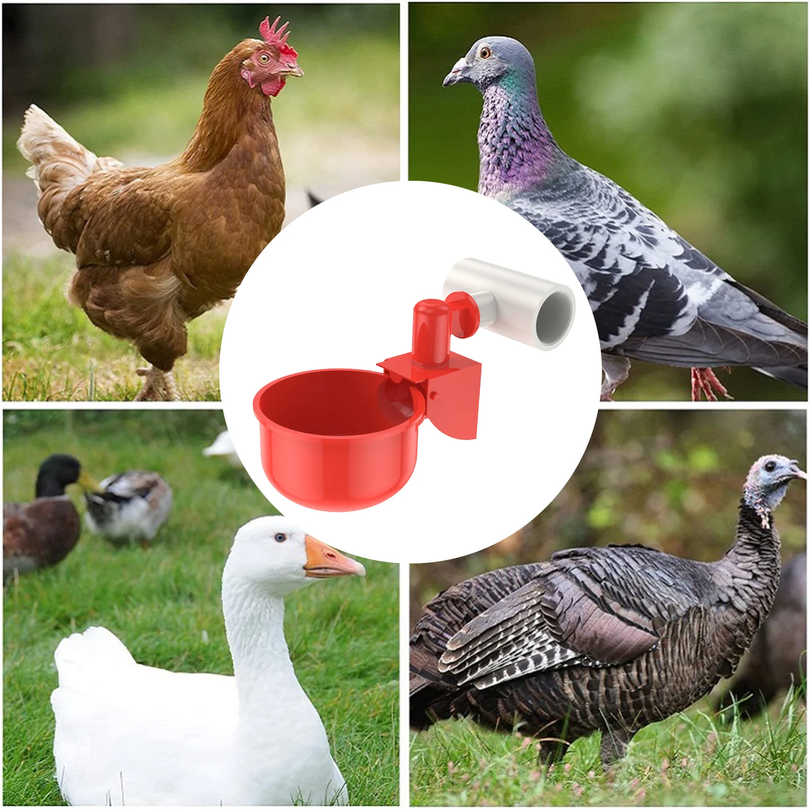 18/36Pcs Chicken Waterer Cup PVC Poultry Water Feeder Kit Automatic Chicken Duck Drinking System with 3-Way Pipe for Pigeon farm