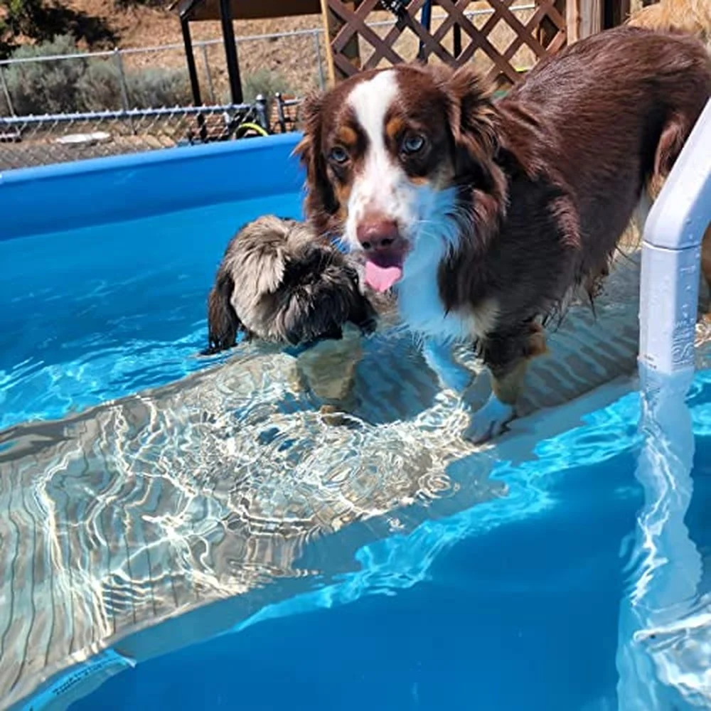 Dog Ramp for Pools (Long Legs Graphite/Gray)