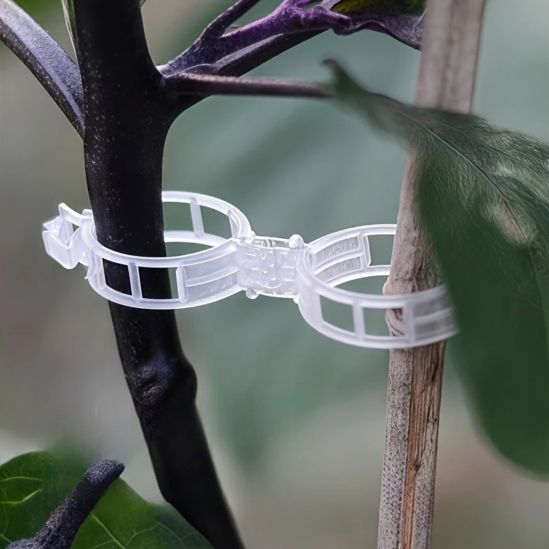 100 pieces of plant fixing clips, plant support clips, with simple snap-lock design, green plant hanging and trailing clips