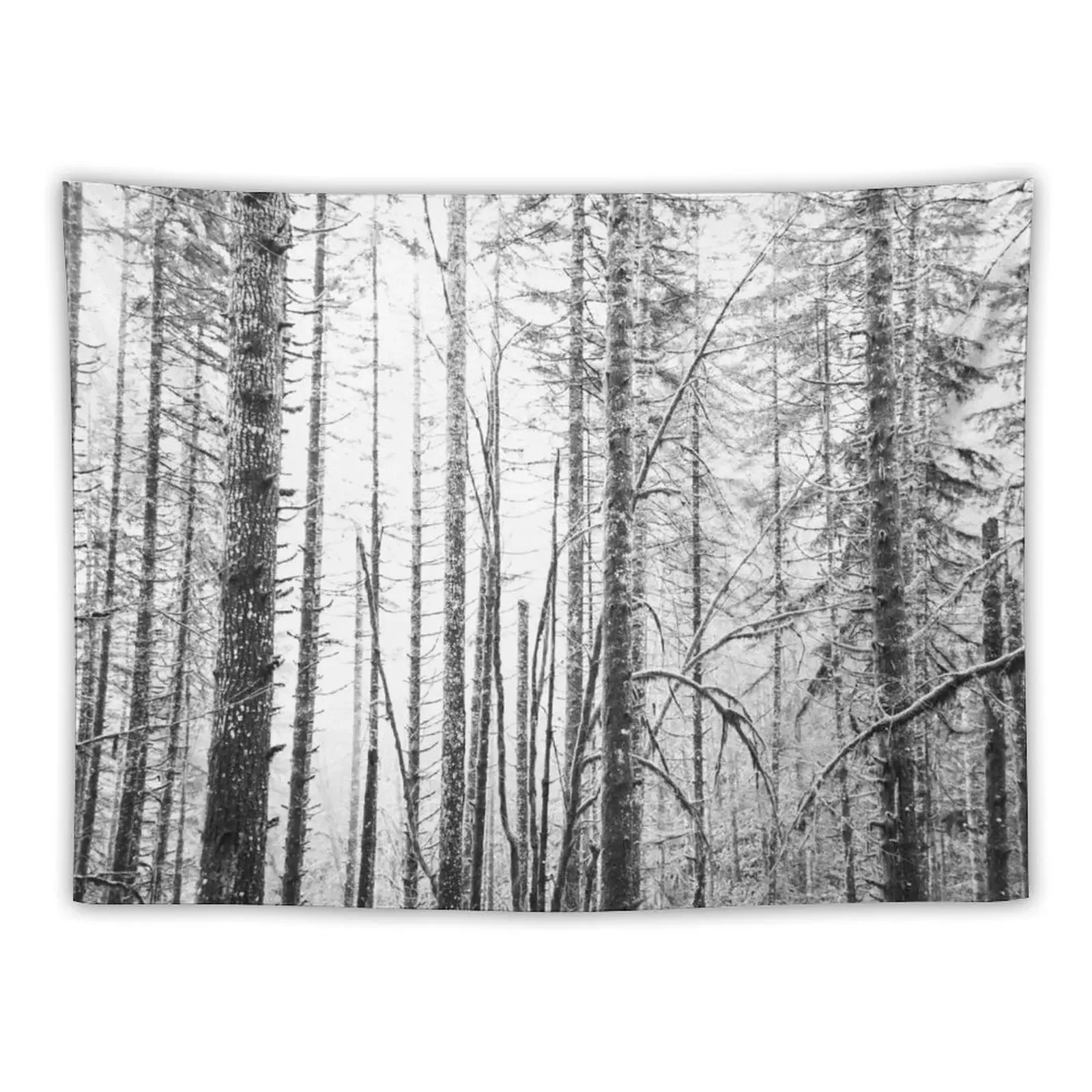 

Forest Trees - Winter Wood Tapestry Hanging Wall Decoration For Rooms Tapestry