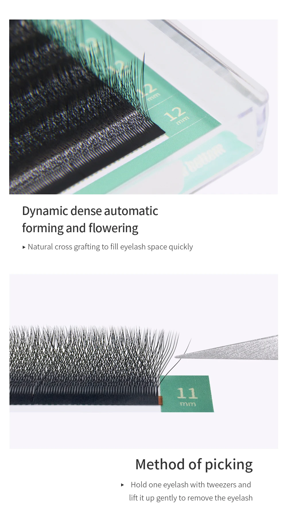 GLAMLASH 4DW 5DW 0,10mm Curl Wimpernverlängerung Künstliche Wimpern – Detail 5