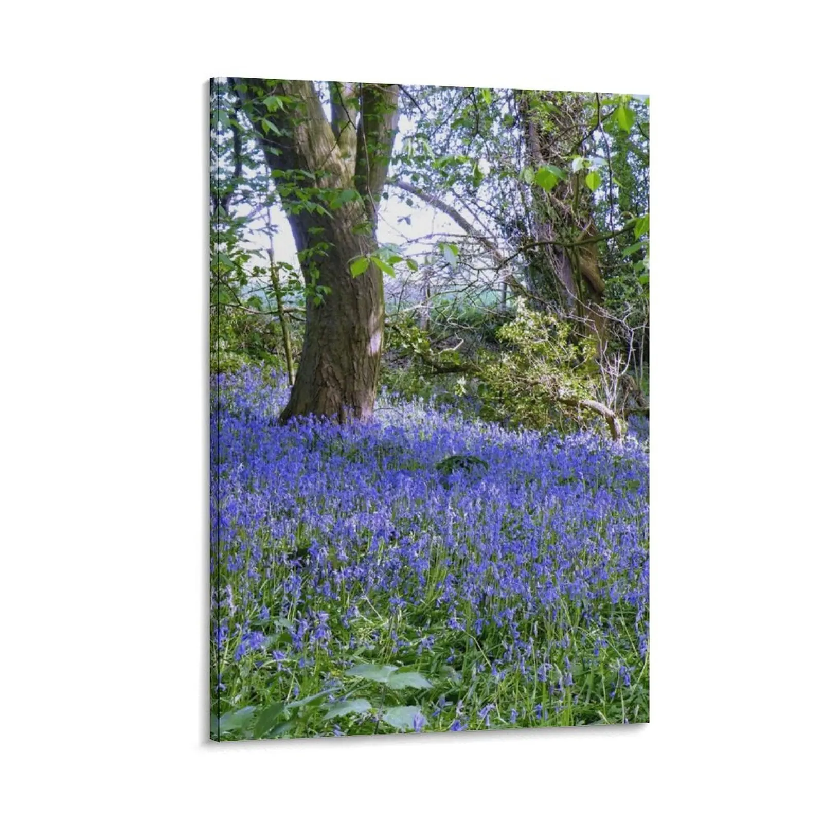 

BlueBell Woods, Dutton, Cheshire. Canvas Painting modern home decoration Picture on the wall anime room decor