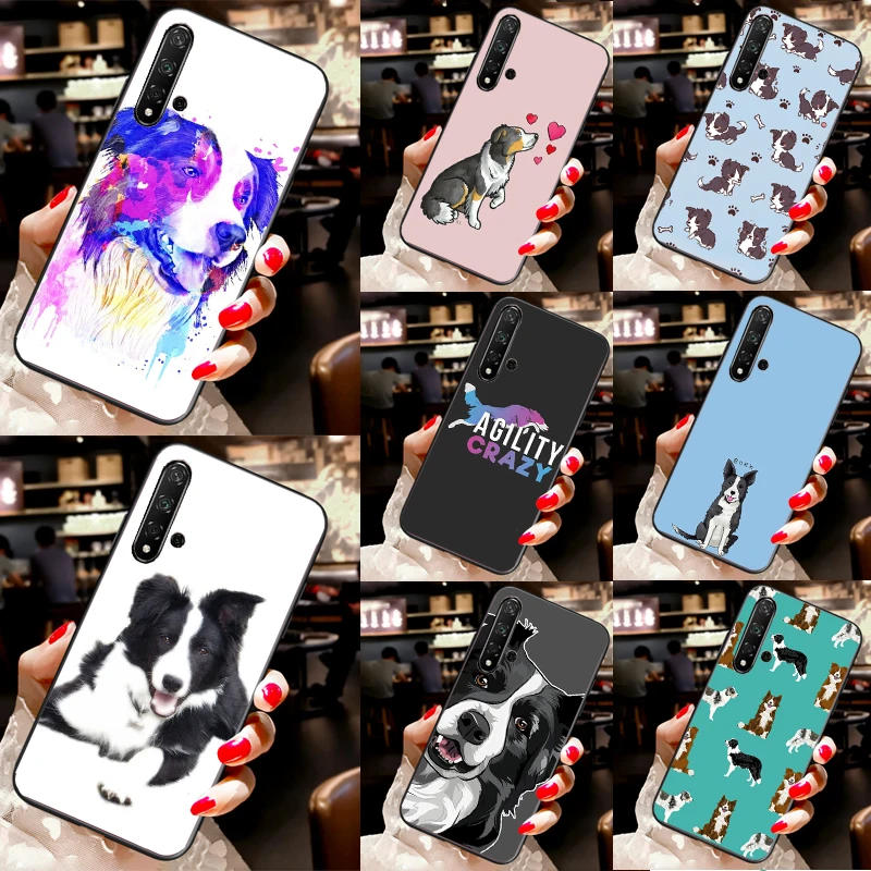 Border Collie Dog F… - image