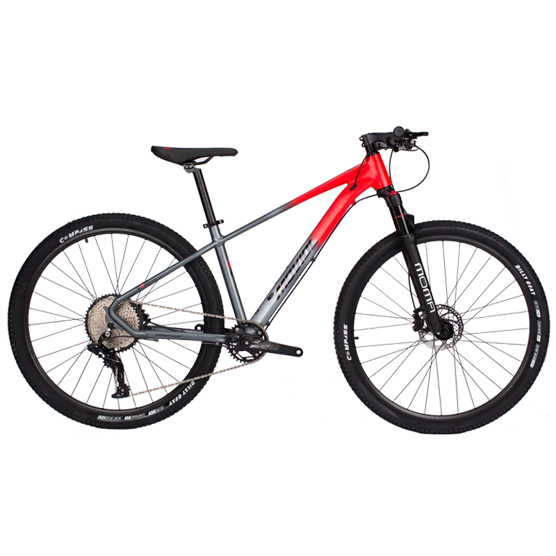 Aluminum Alloy Mountain Bicycle for Adults, Dirt Bike, MTB, Double Oil Disc Brake, Cross Country Bikes, 29\