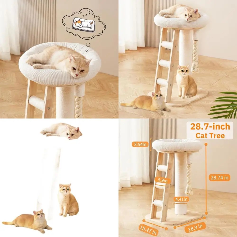 Árbol para gatos de esquina interior compacto con poste rascador, cama, escalera de escalada y juguetes interactivos