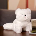 white cat