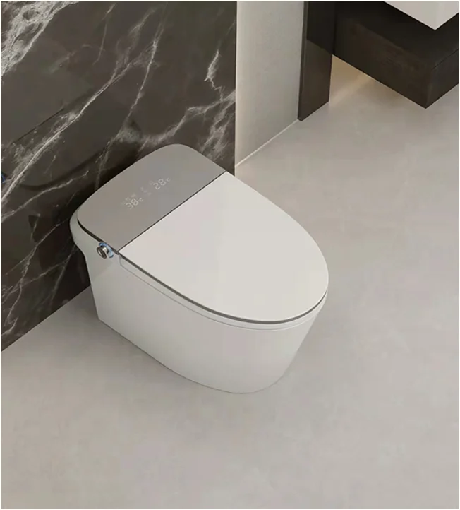 Premium Modern Floor Mounted Intelligent Toilet Automatic Electric Smart Bidet Bathroom Auto Clean Wc