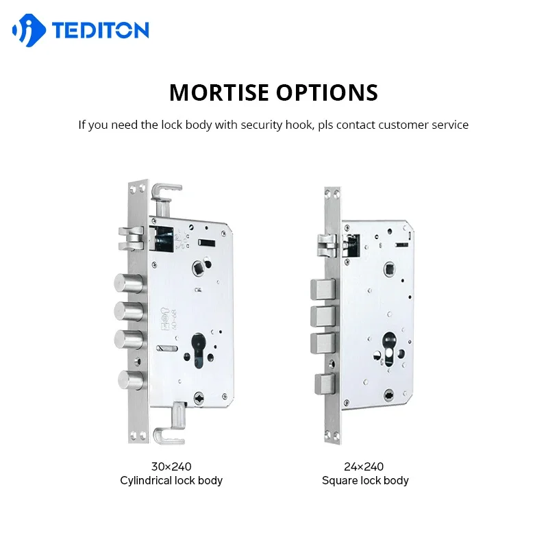 003 Tediton Biometric Digital Tuya Wifi Photo Camera Capture Fingerprint Smart lock with Face Recognition Door Lock