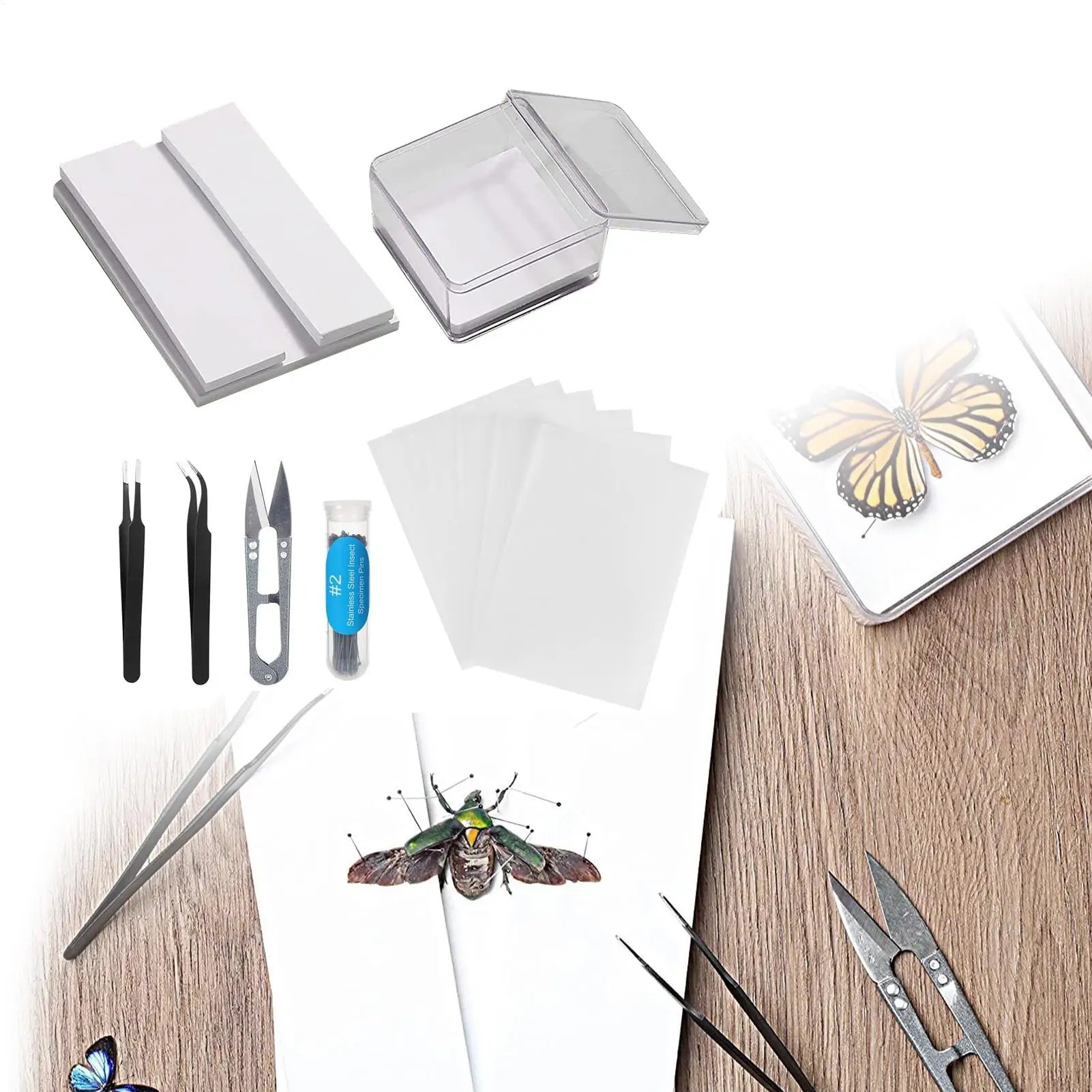 Insect Specimen Making Tools DIY Butterfly Specimen Tools Reusable Taxidermy And Entomology Kit For Science Education Learning