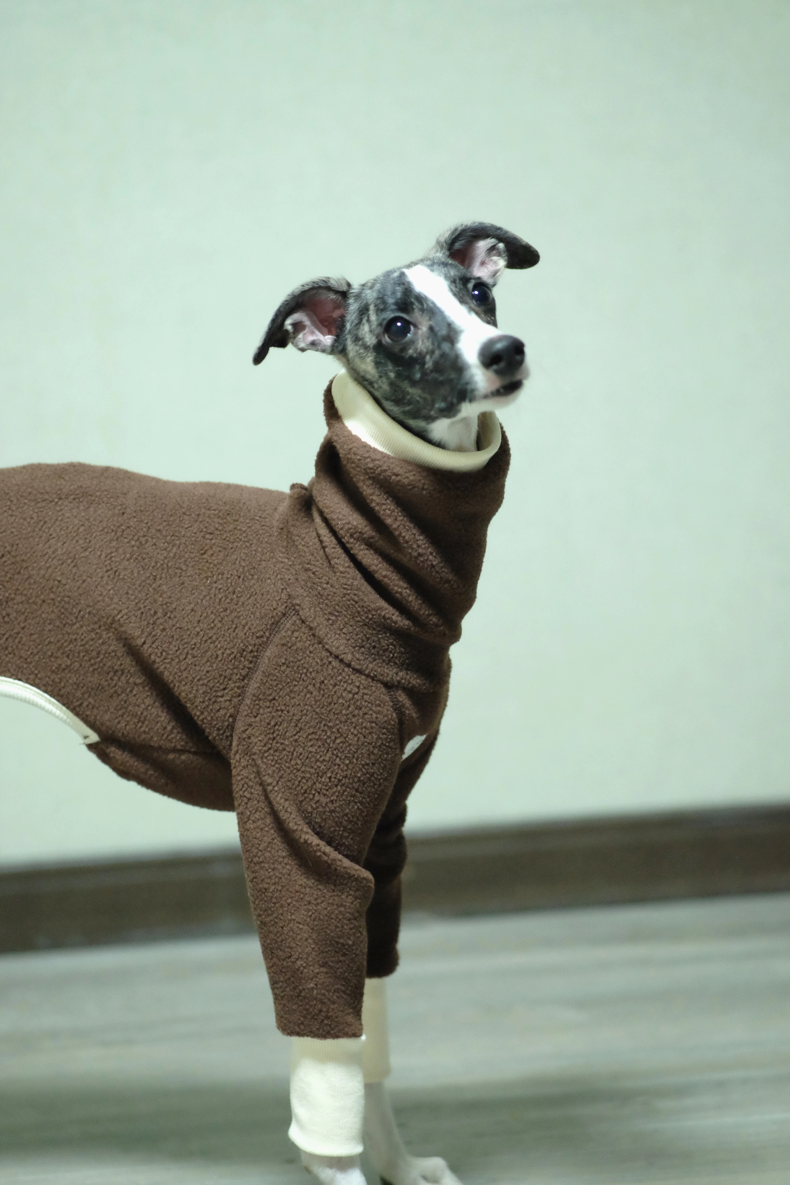 Italian greyhound winter clothing whippet jumpsuit /dog clothes / Greyhound Jammies/whippet sweatshirt