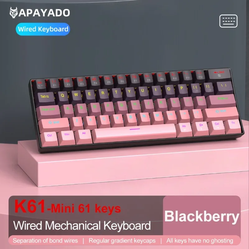 

APAYADO K61 Mini Mechanical Keyboard - 61 Keys Gradient Keycaps Type-C Detachable N-Key Rollover Compact Layout