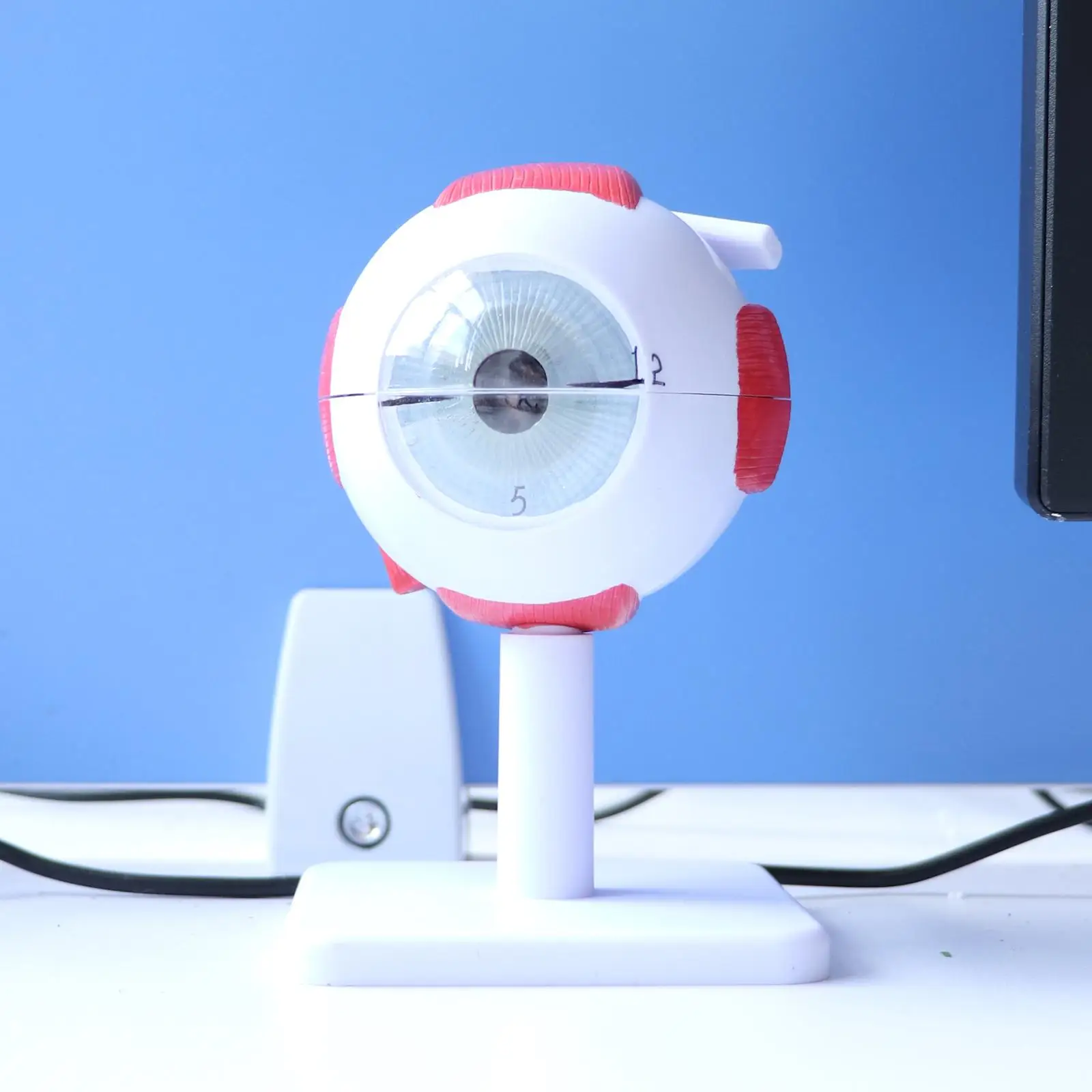 Ingrandimento 3X Kit modello occhio umano |