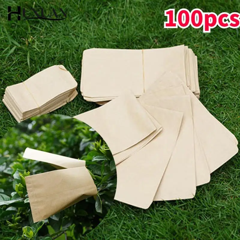 100Pcs Mini Envelopes Packets Garden Home Kraft Paper Seed Protective Envelope Storage Bags